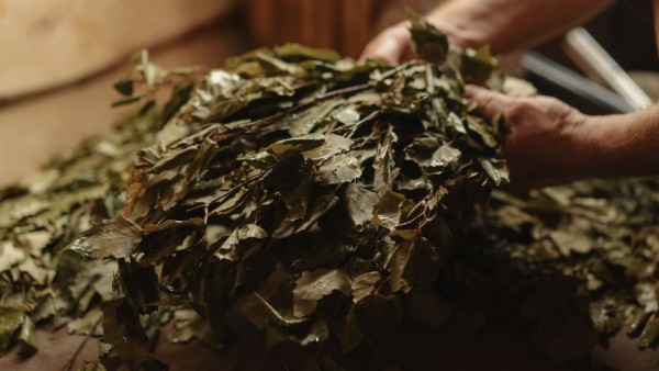 Bath broom: rules and useful tips