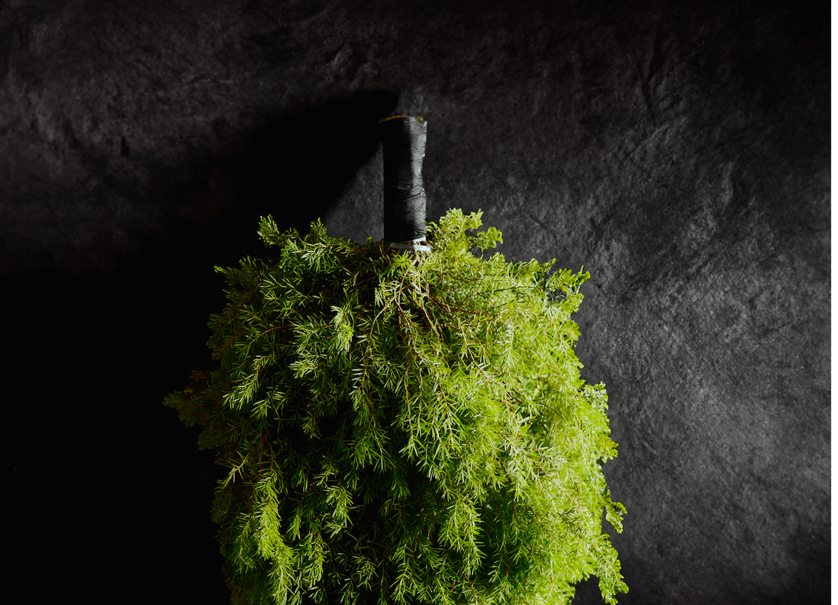 Bath brooms: their types and useful properties